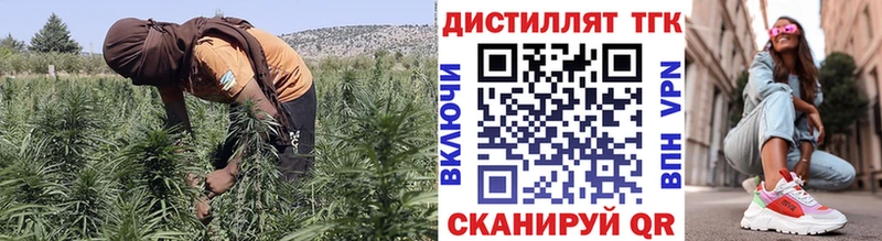 ТГК THC oil  Завитинск 